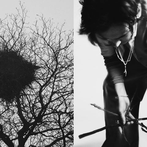 The Twig Collection